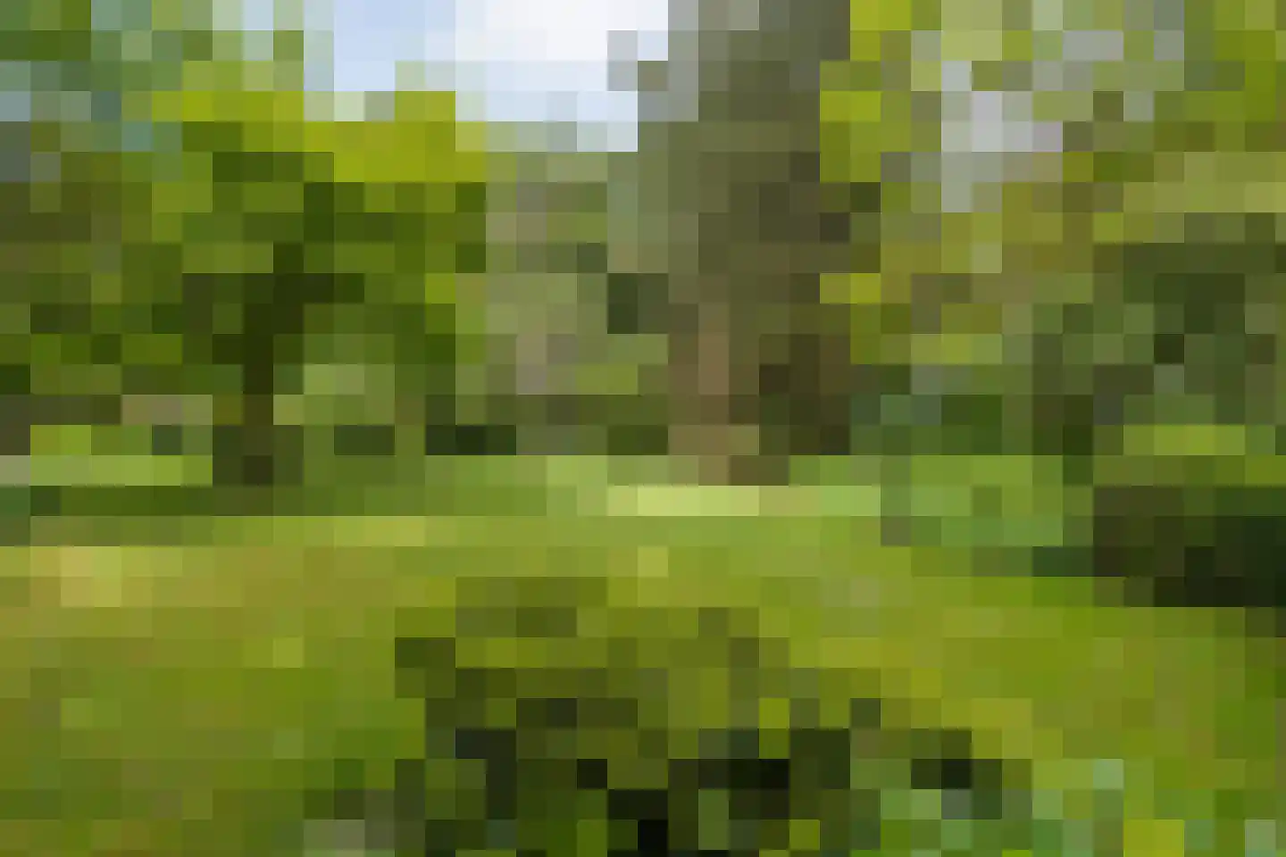Ruiterweg 7 Darp thumbnail 12