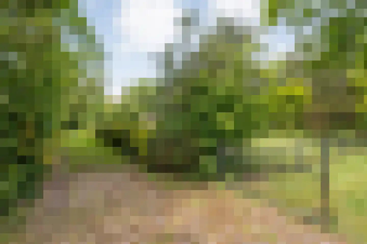 Ruiterweg 7 Darp thumbnail 13