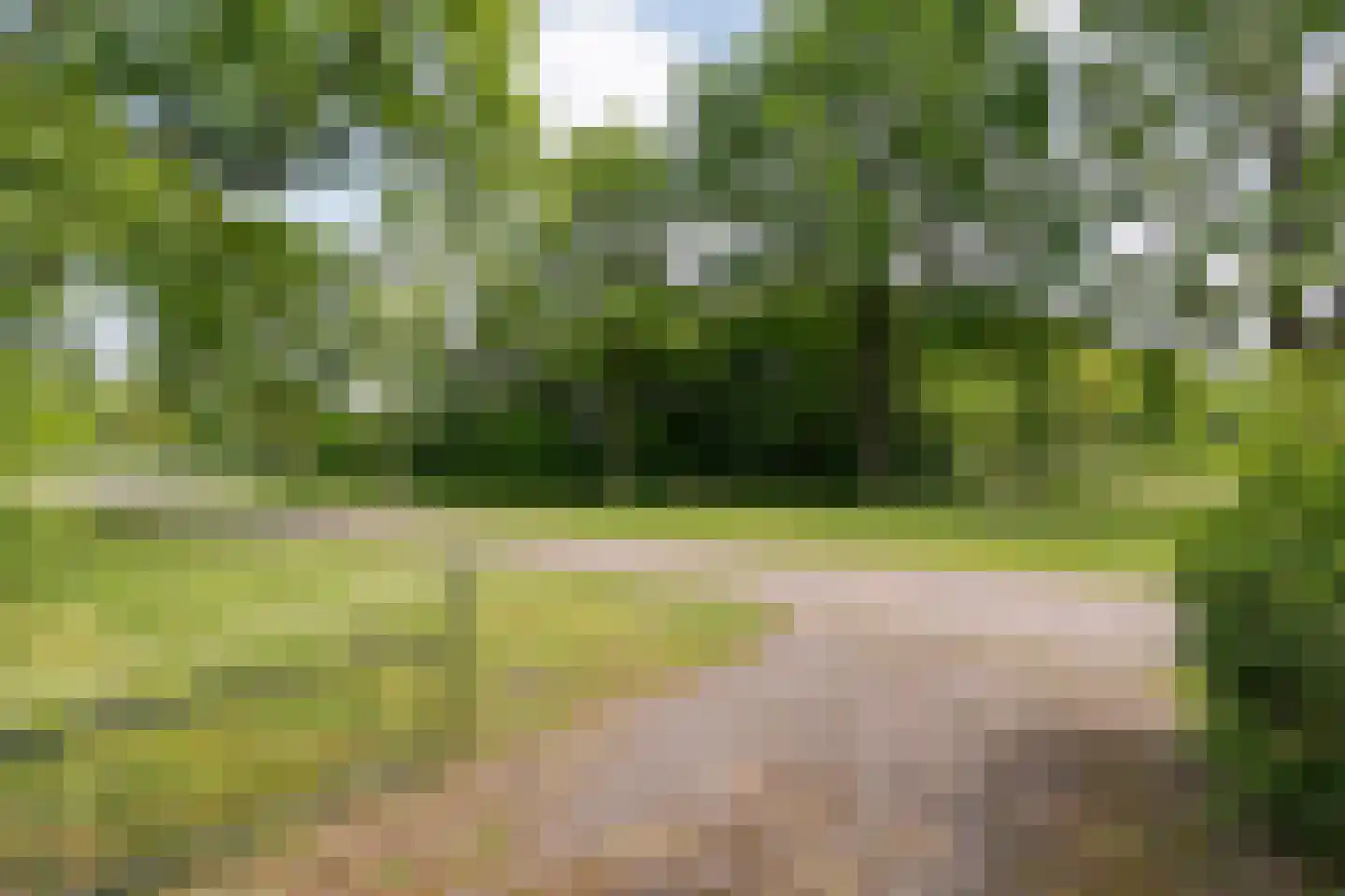 Ruiterweg 7 Darp thumbnail 14