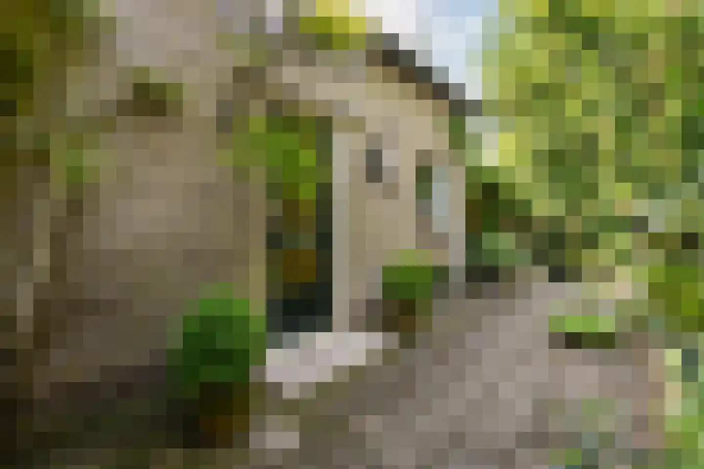 Ruiterweg 7 Darp thumbnail 15