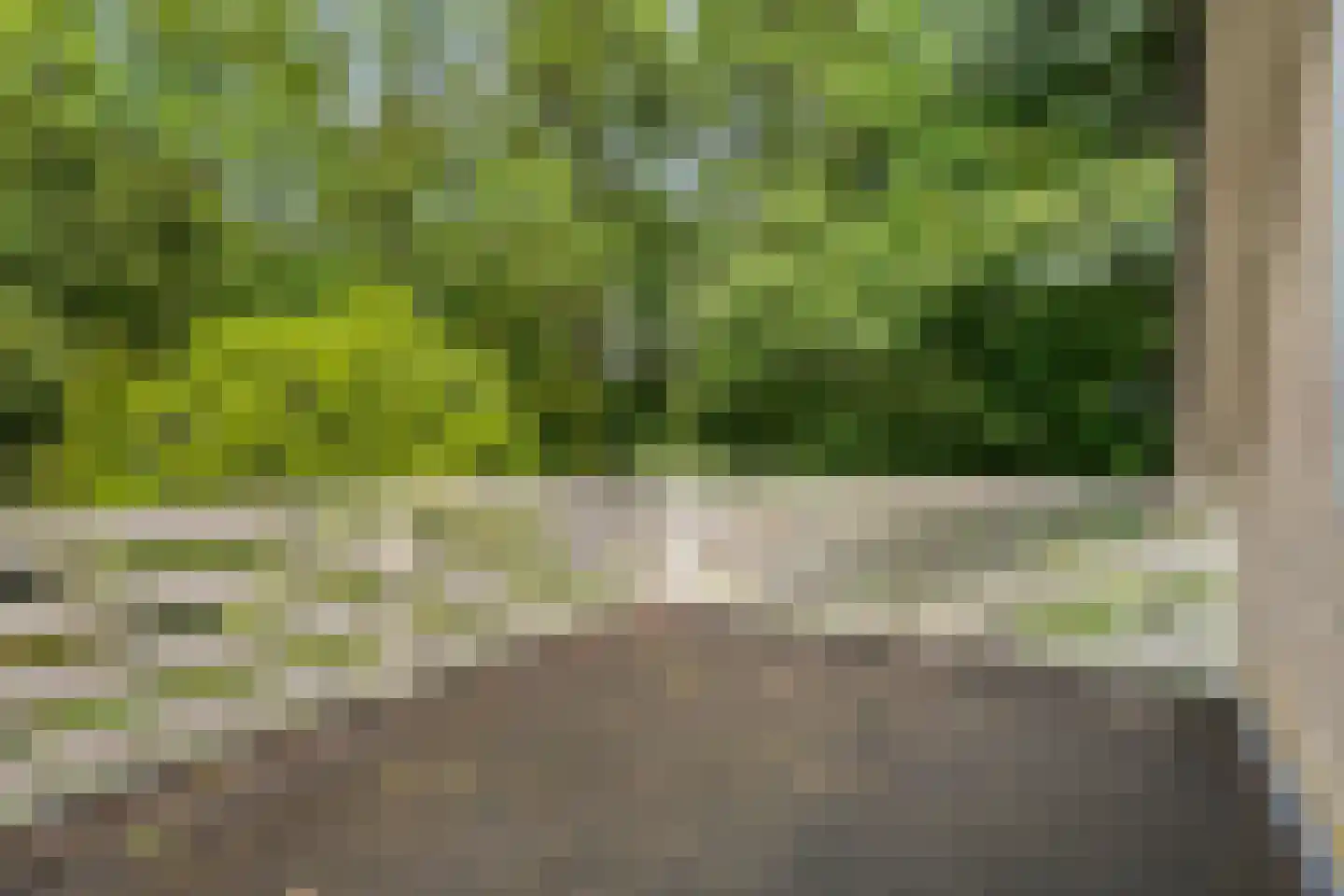 Ruiterweg 7 Darp thumbnail 31