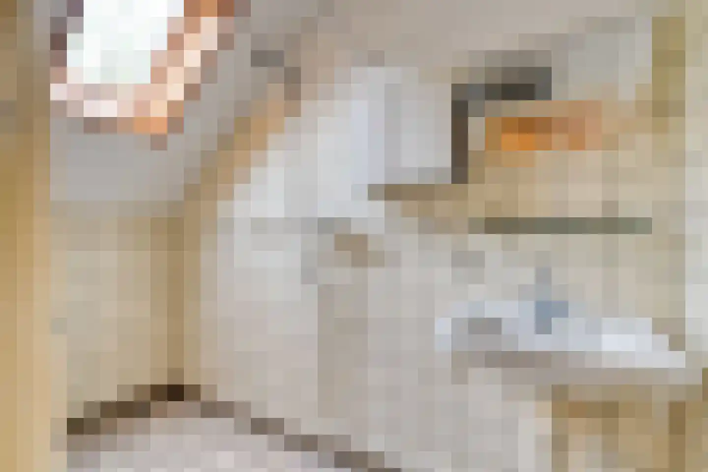 Ruiterweg 7 Darp thumbnail 36