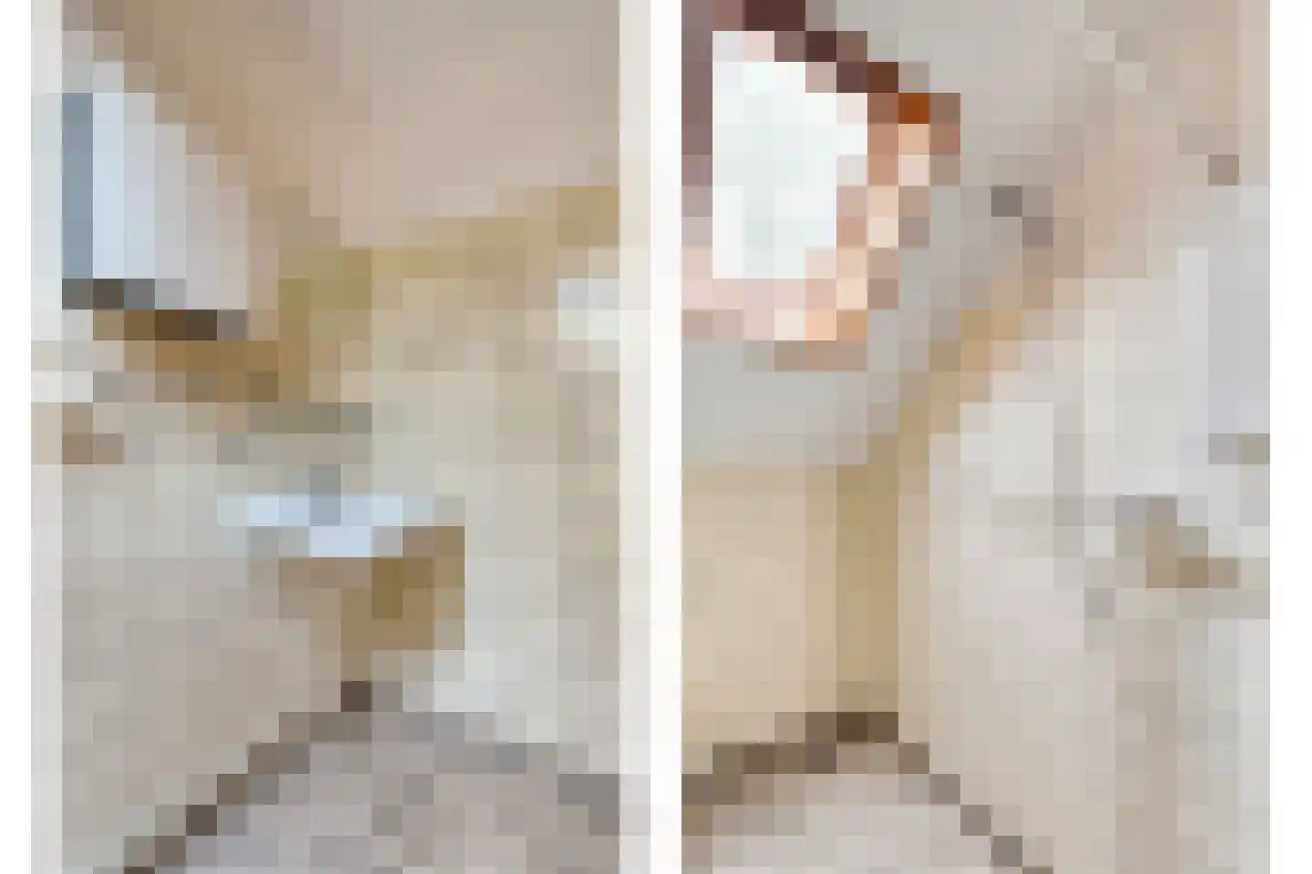 Ruiterweg 7 Darp thumbnail 37