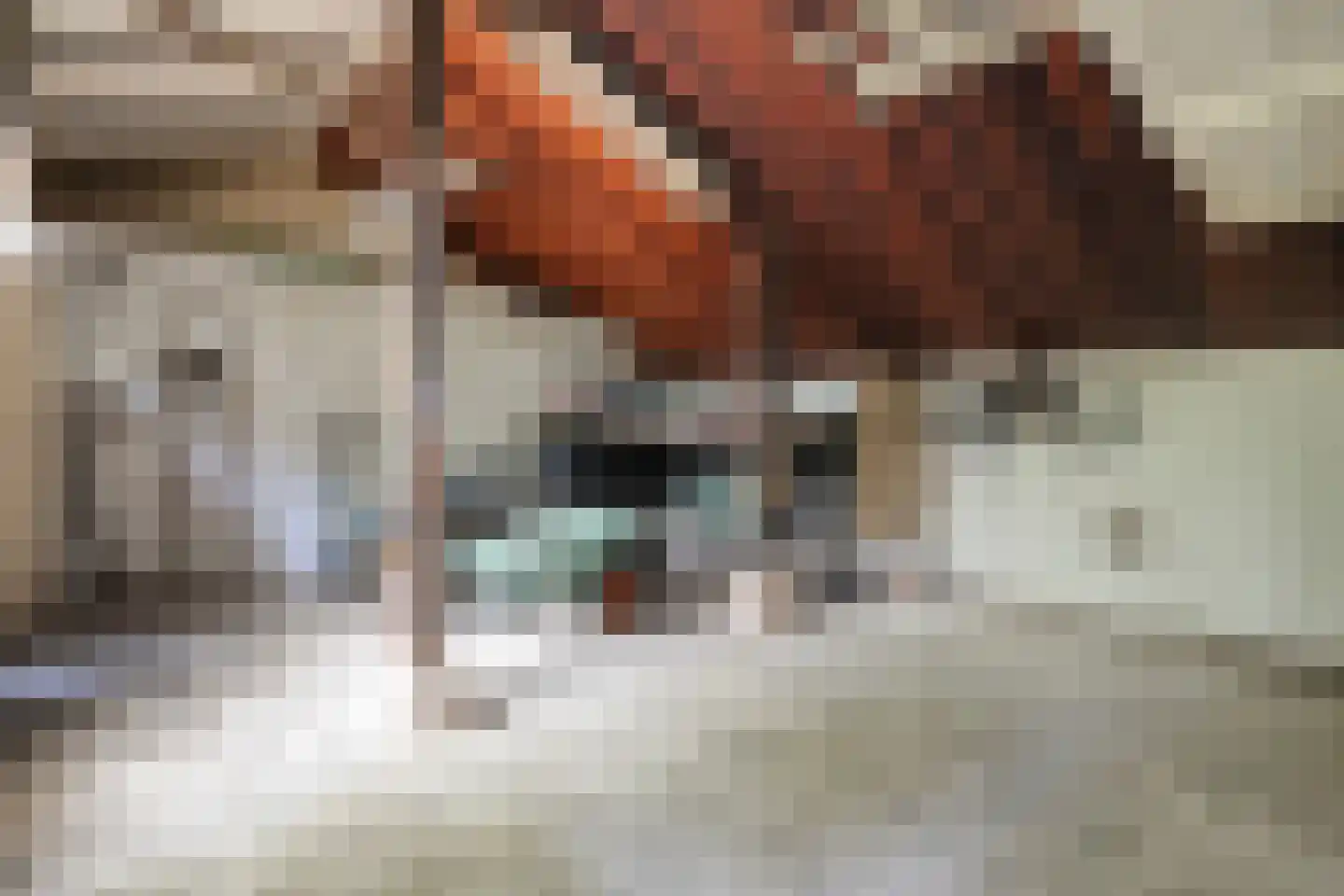Ruiterweg 7 Darp thumbnail 40