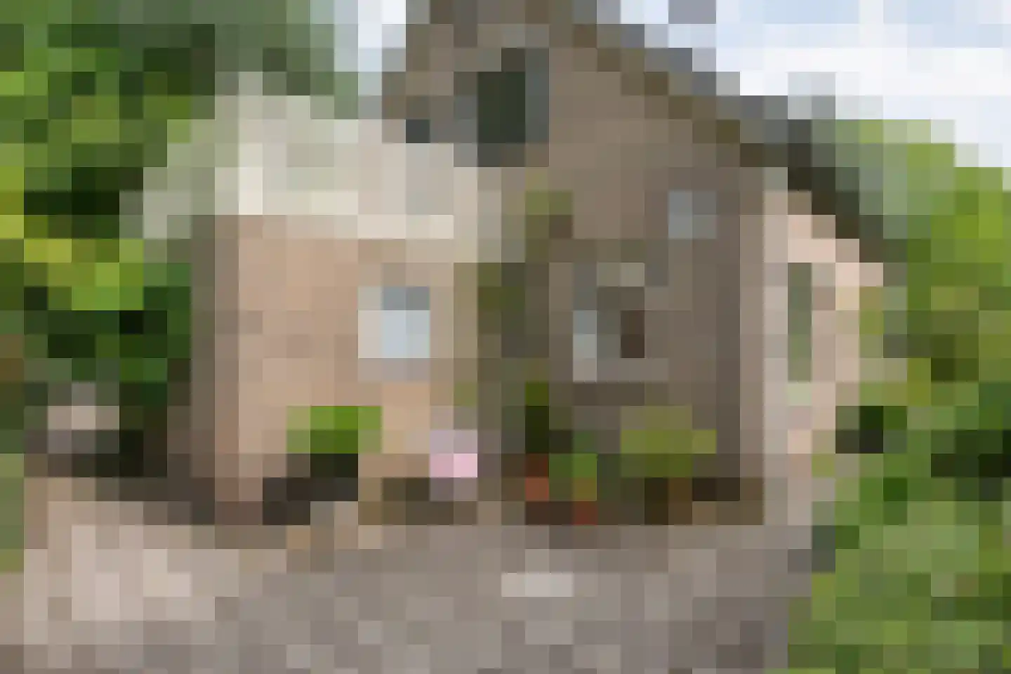 Ruiterweg 7 Darp thumbnail 43