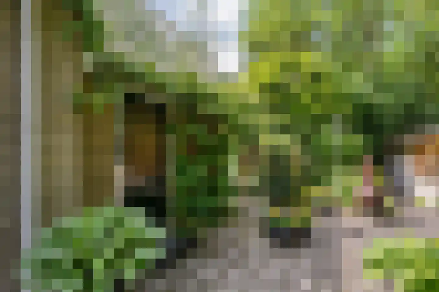 Ruiterweg 7 Darp thumbnail 44