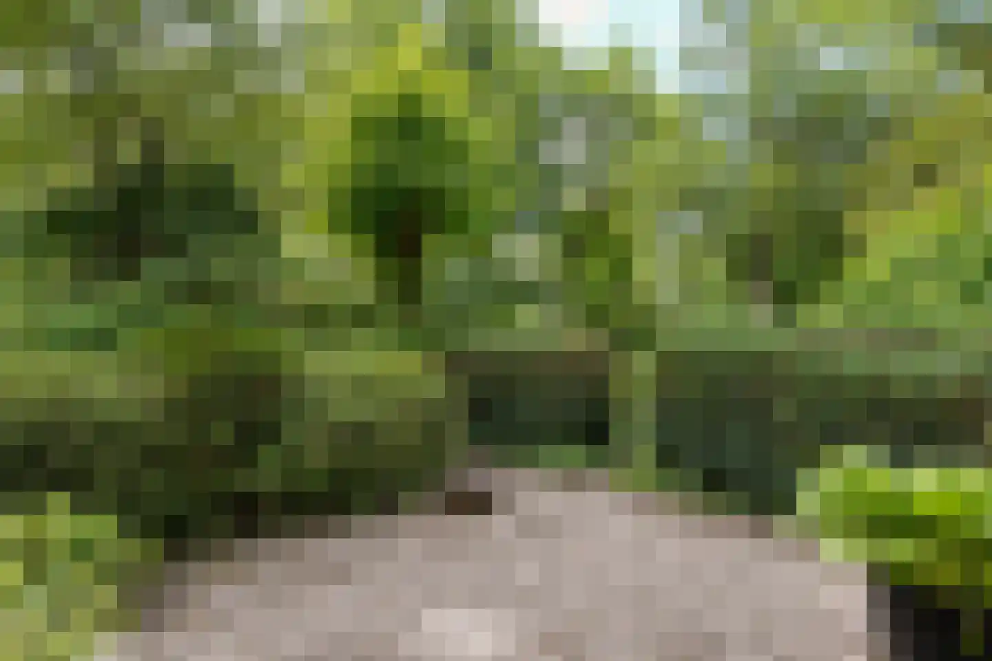 Ruiterweg 7 Darp thumbnail 47
