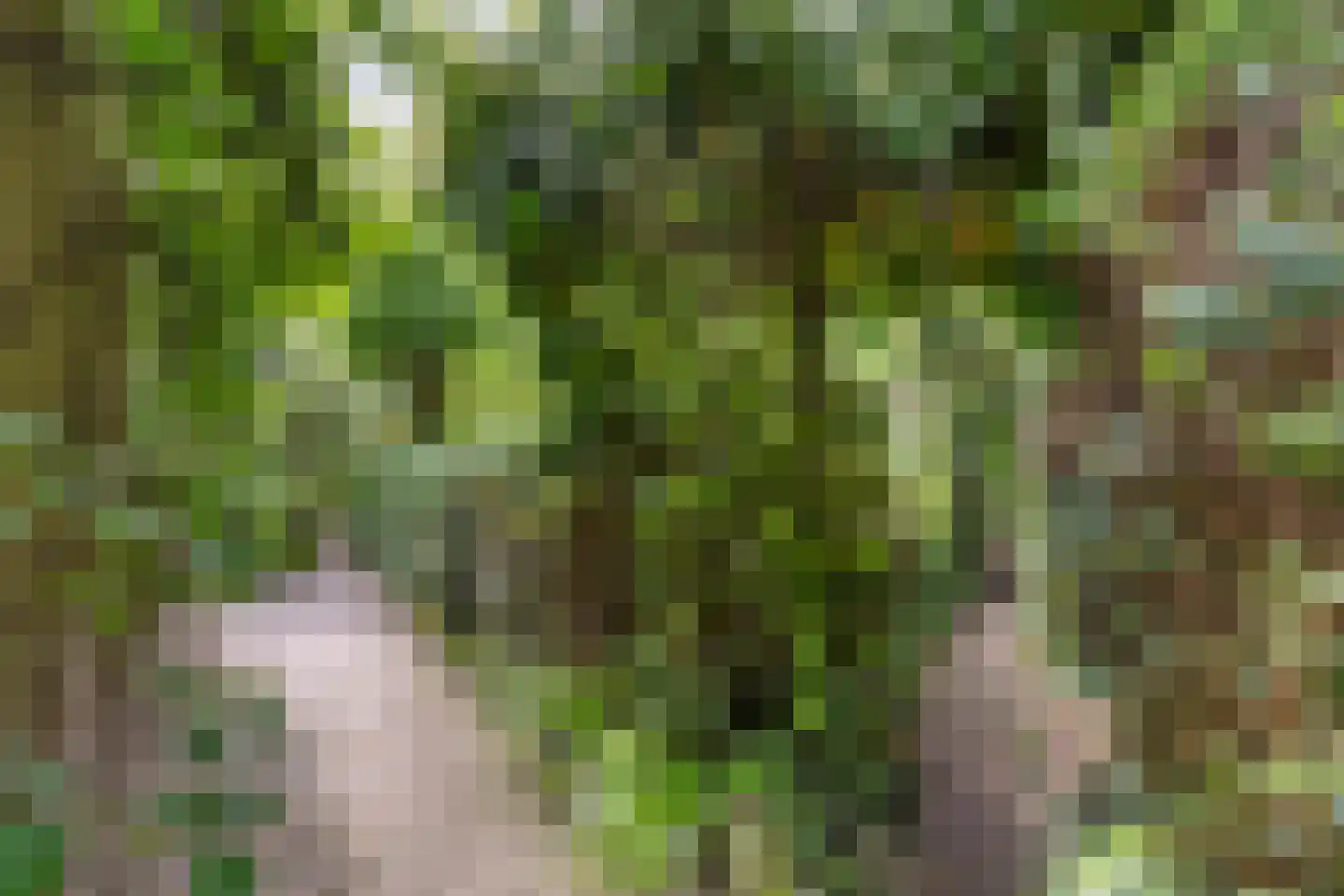 Ruiterweg 7 Darp thumbnail 48