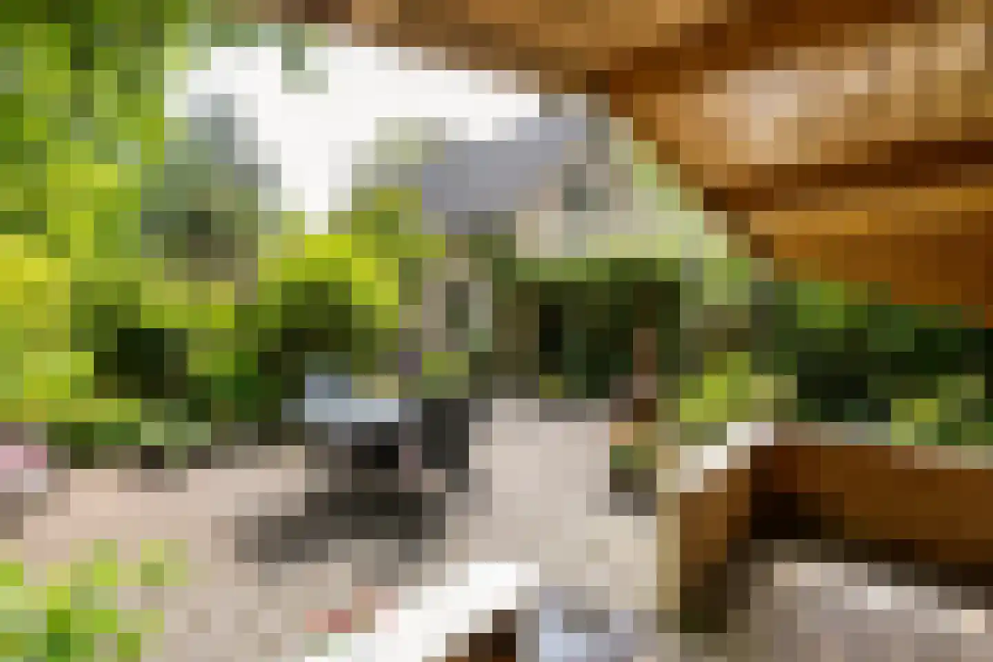 Ruiterweg 7 Darp thumbnail 49