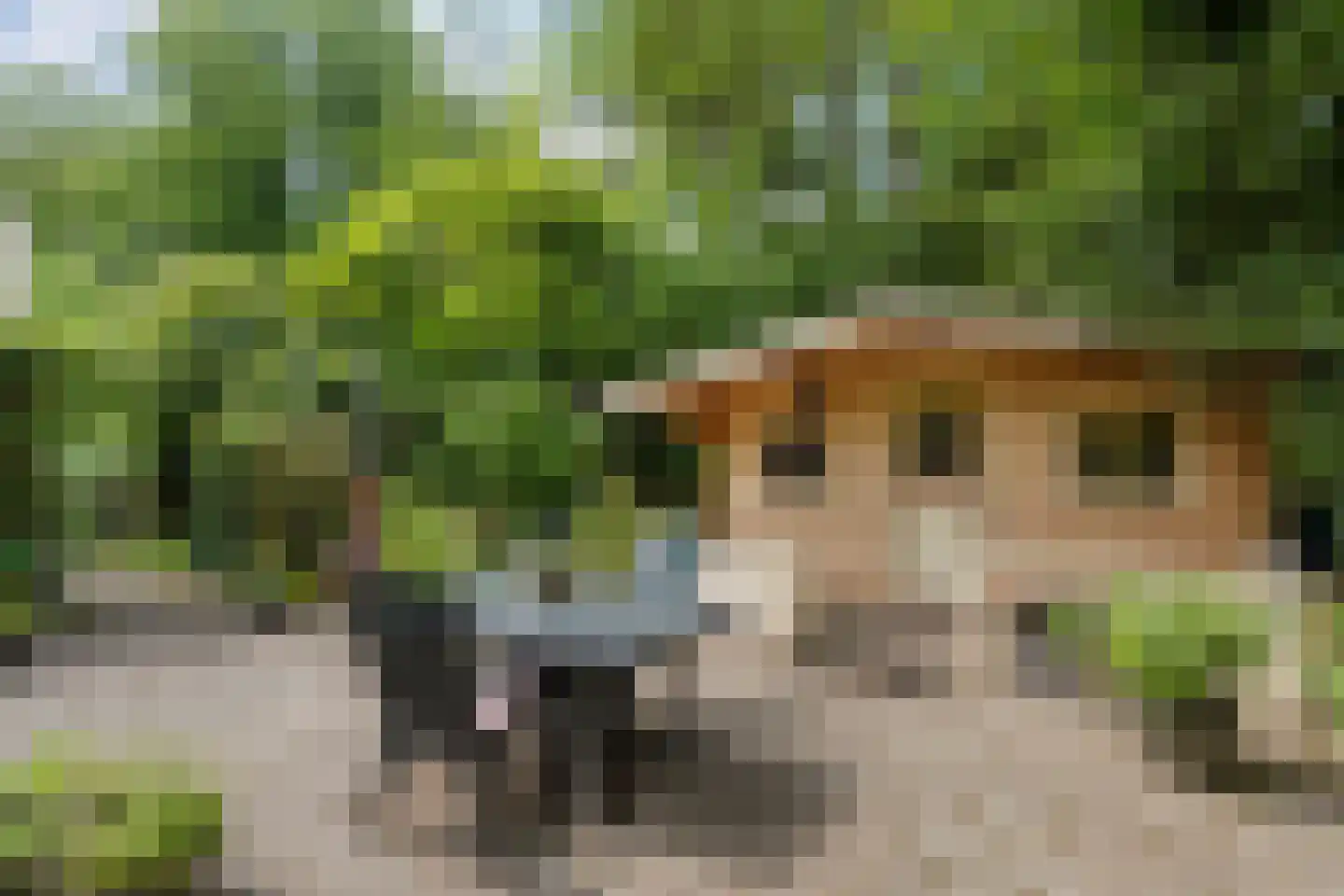 Ruiterweg 7 Darp thumbnail 50