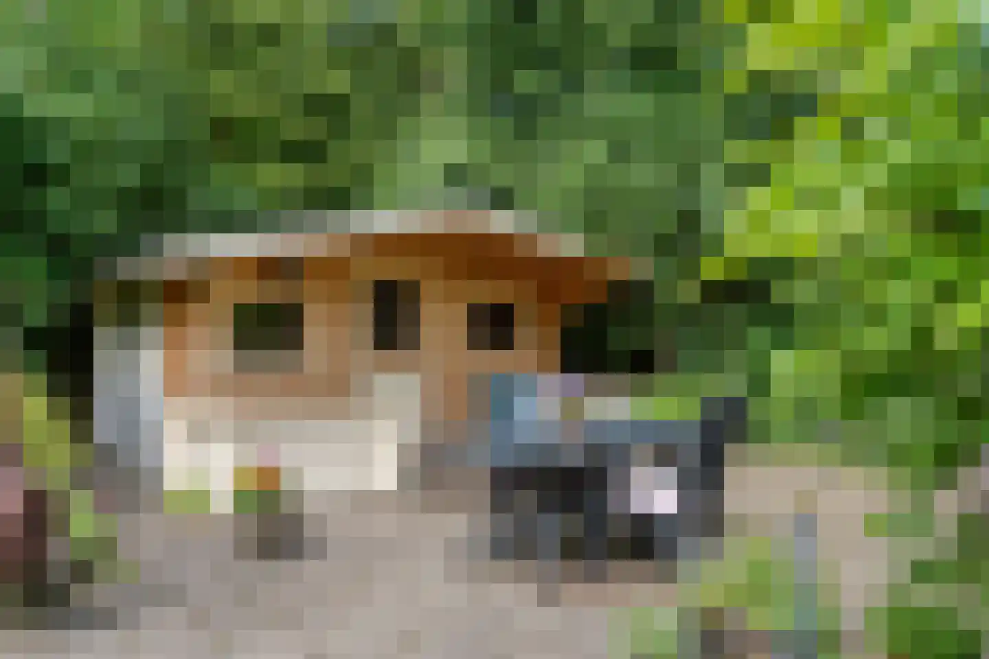 Ruiterweg 7 Darp thumbnail 51