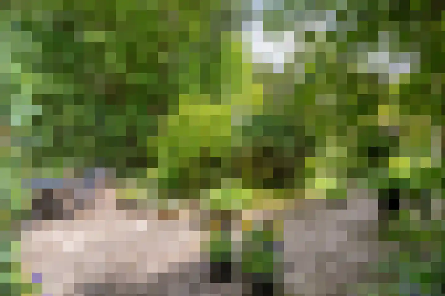 Ruiterweg 7 Darp thumbnail 53