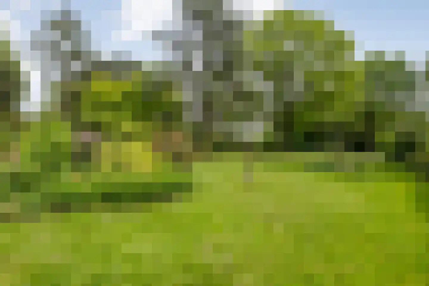 Ruiterweg 7 Darp thumbnail 54
