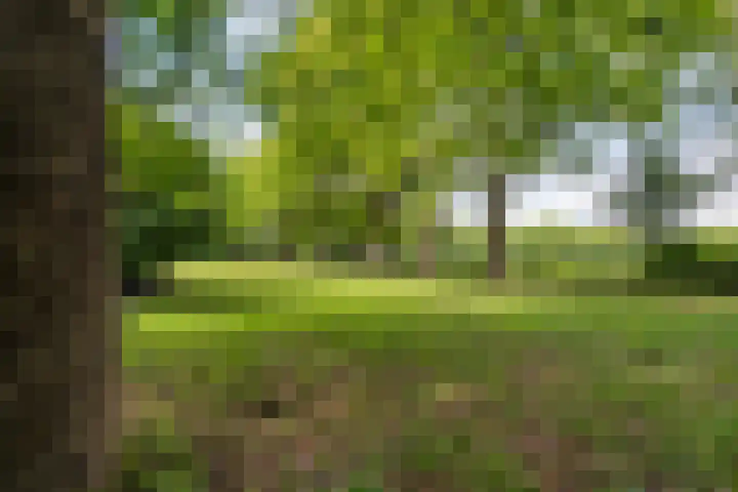 Ruiterweg 7 Darp thumbnail 55