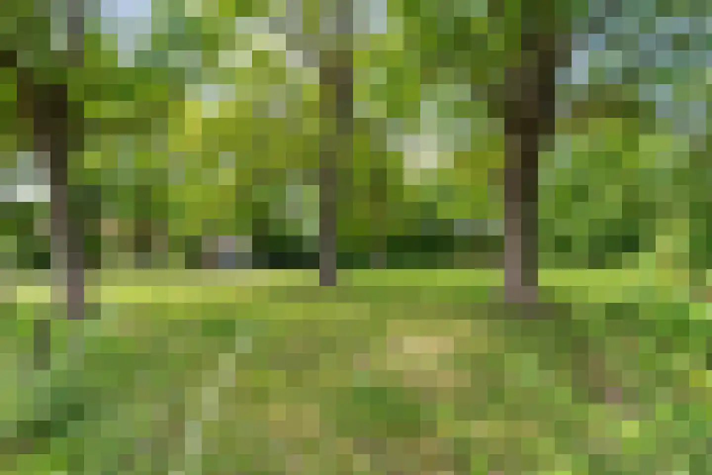 Ruiterweg 7 Darp thumbnail 57