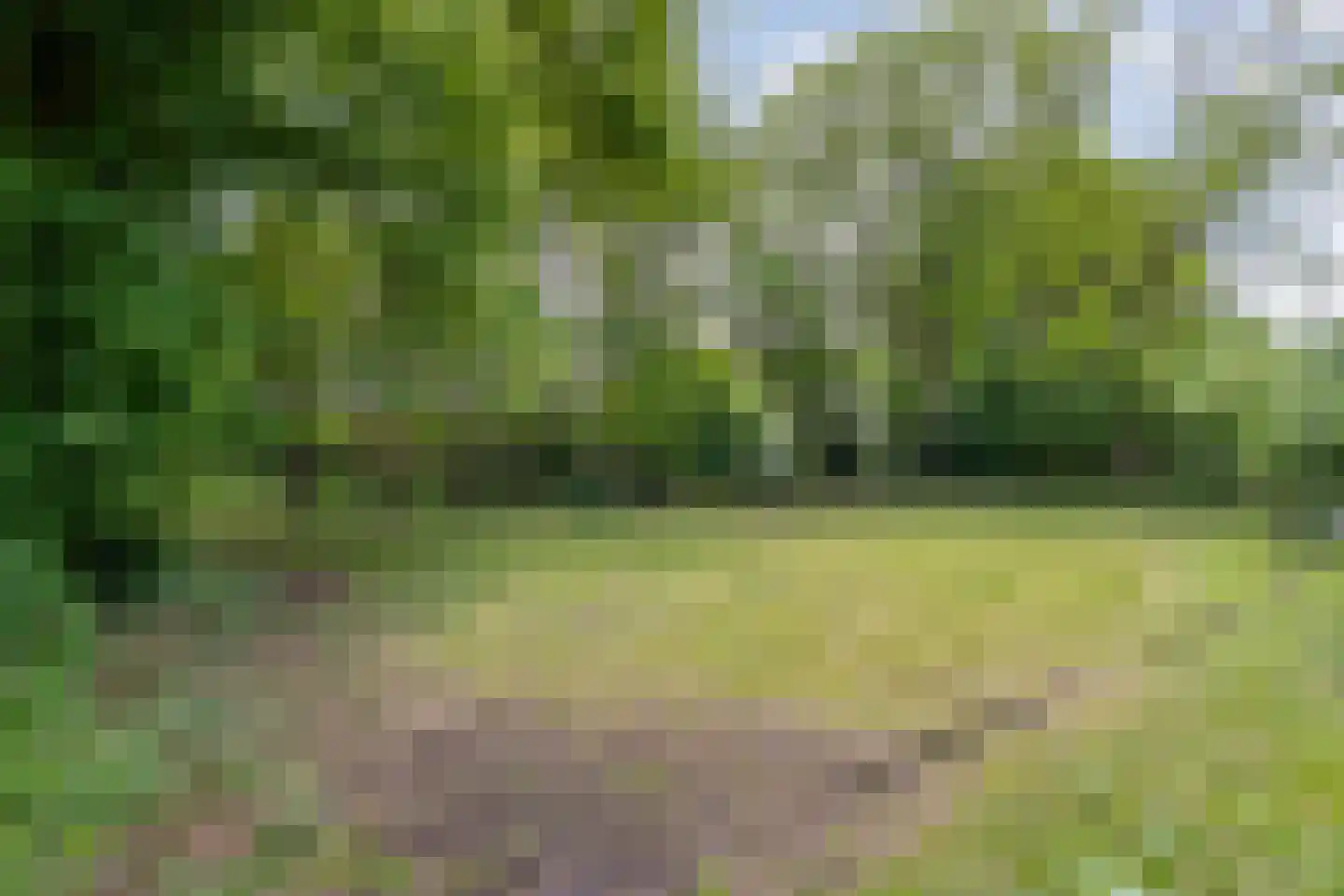 Ruiterweg 7 Darp thumbnail 58