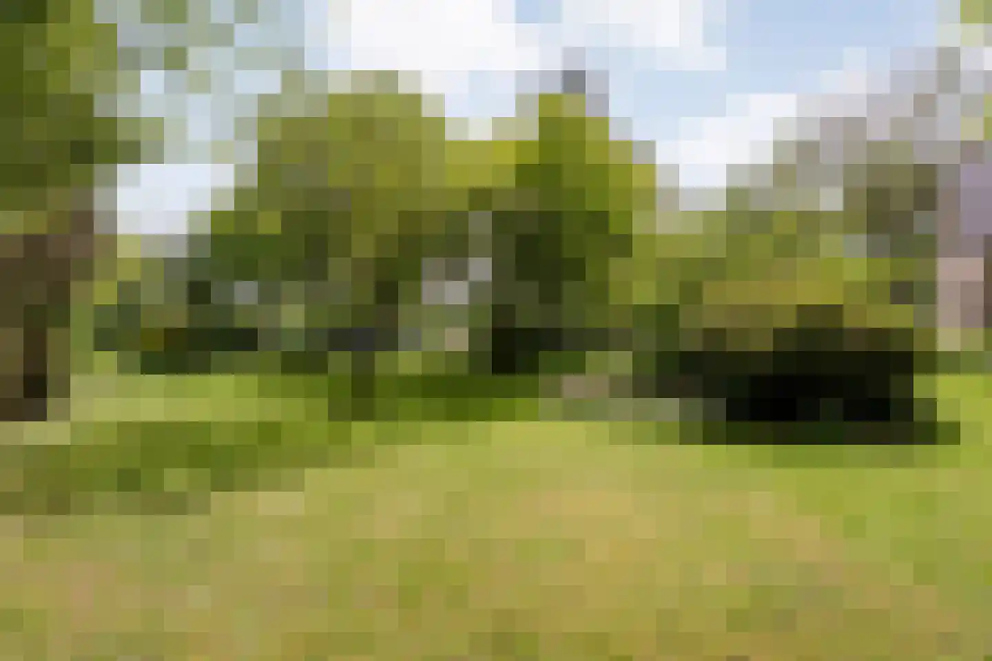 Ruiterweg 7 Darp thumbnail 59