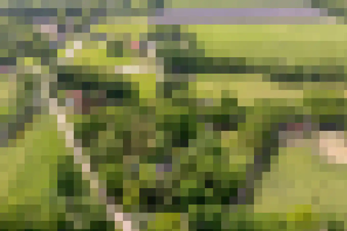 Ruiterweg 7 Darp thumbnail 60