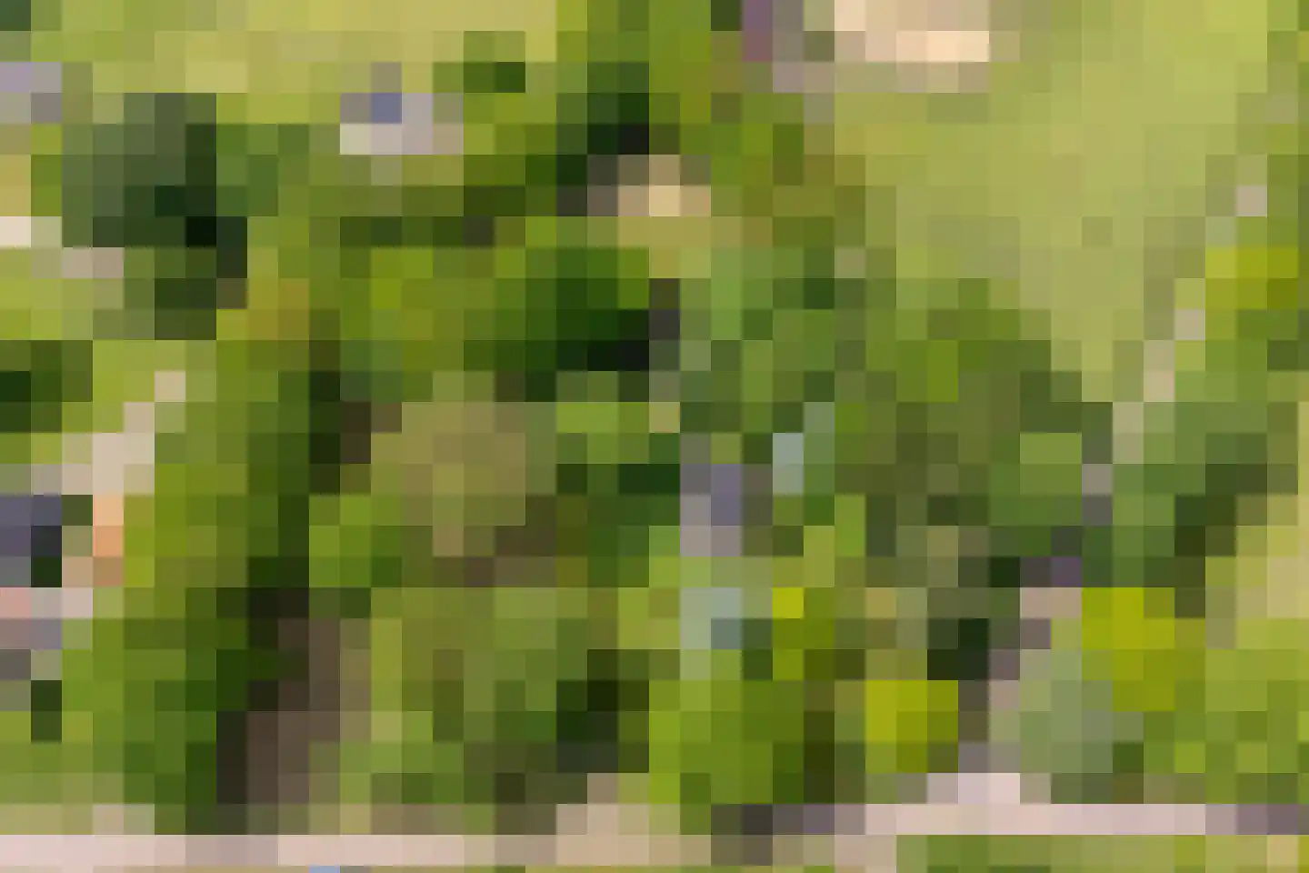 Ruiterweg 7 Darp thumbnail 7