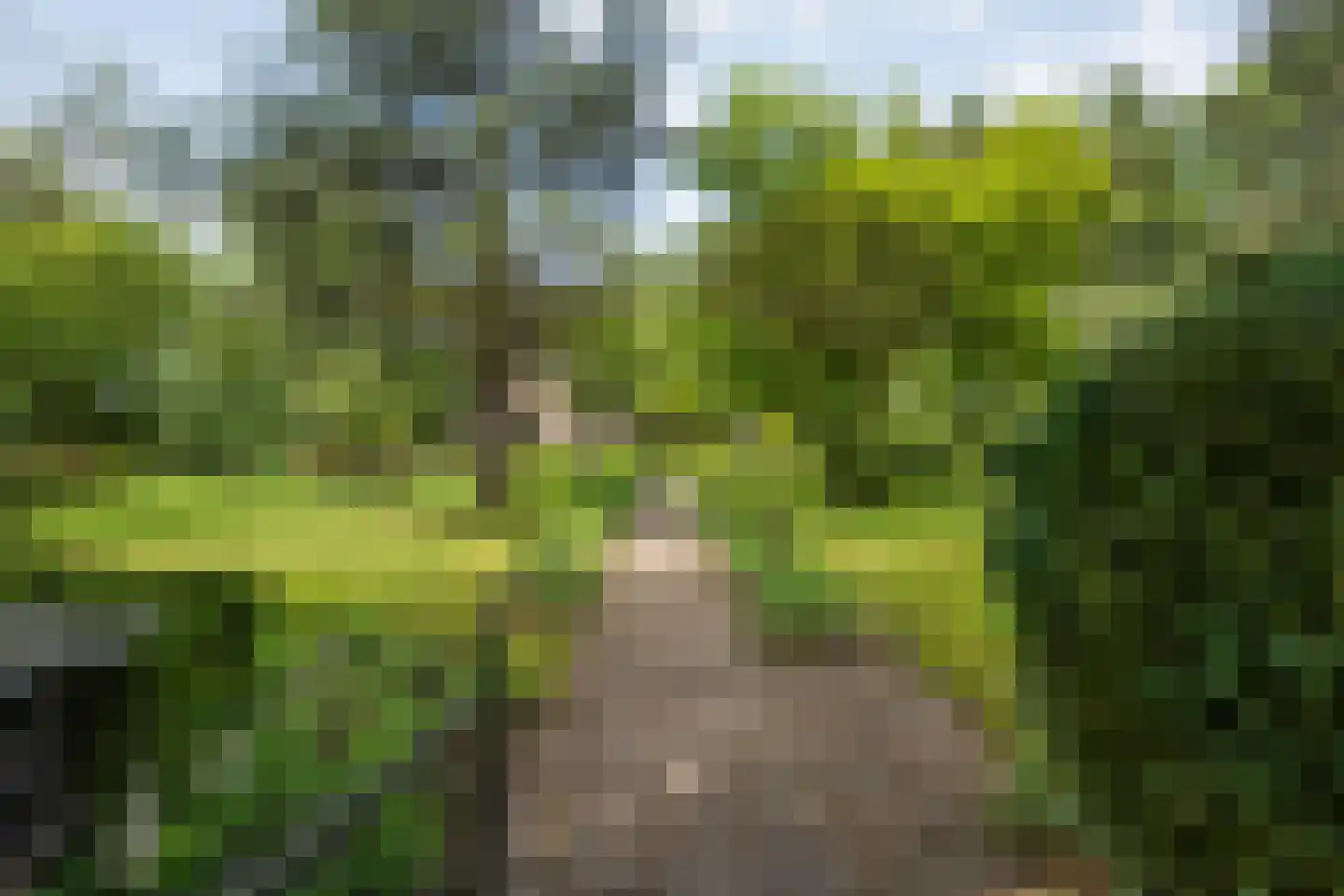 Ruiterweg 7 Darp thumbnail 8