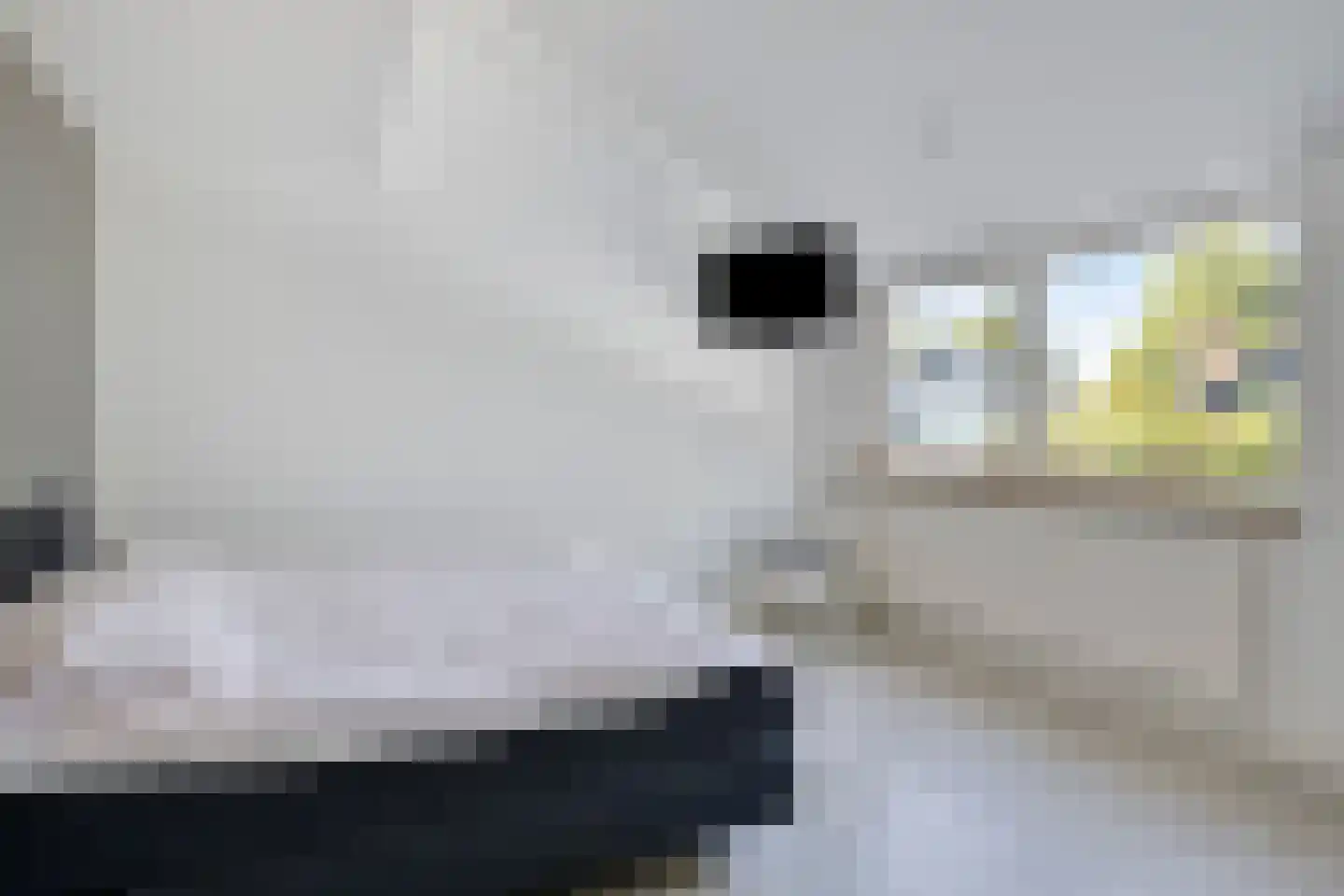 Ruivenhof 16 Berkel-Enschot thumbnail 13