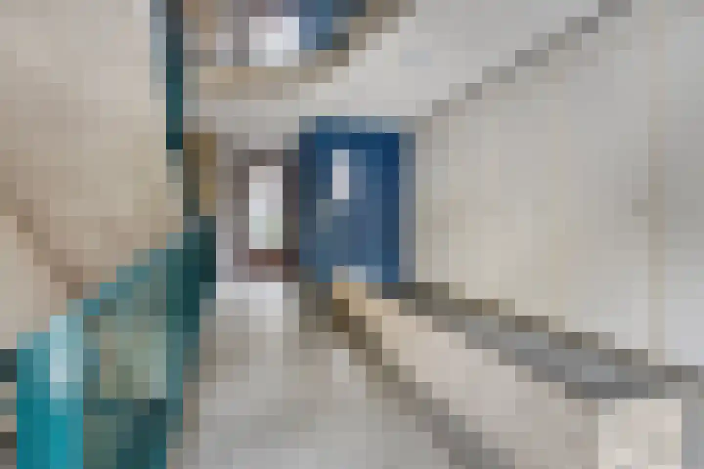 Ruivenplantsoen 28 Rotterdam thumbnail 17