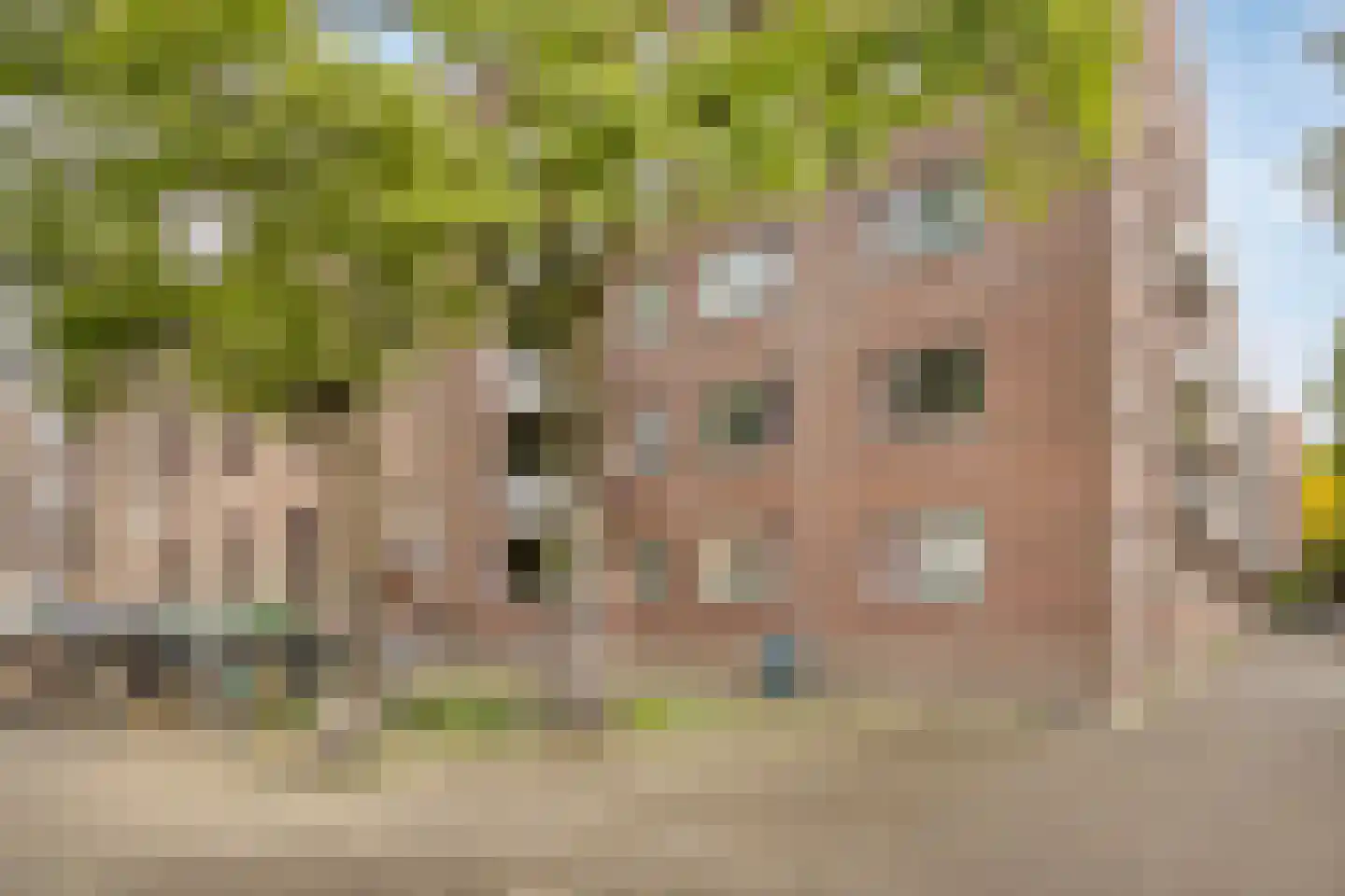 Ruivenplantsoen 28 Rotterdam thumbnail 19