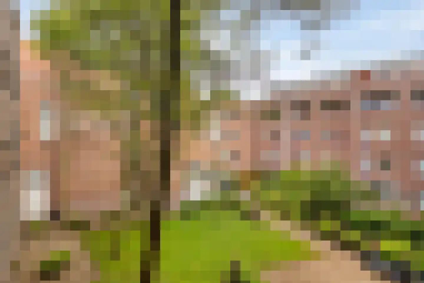 Ruivenplantsoen 28 Rotterdam thumbnail 20