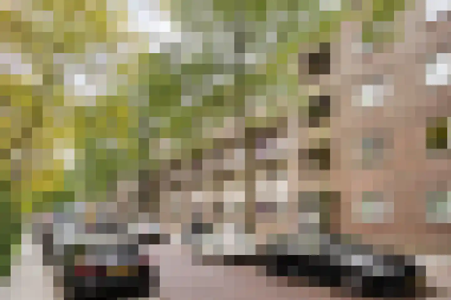Ruivenplantsoen 28 Rotterdam thumbnail 21