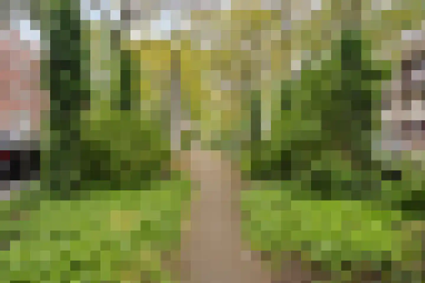 Ruivenplantsoen 28 Rotterdam thumbnail 24