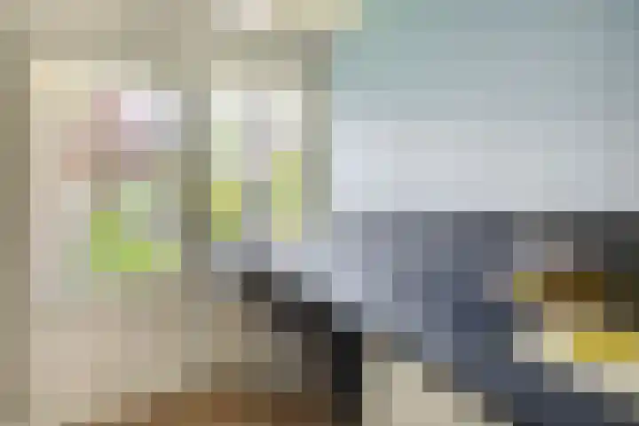 Ruivenstraat 127 Rotterdam thumbnail 22