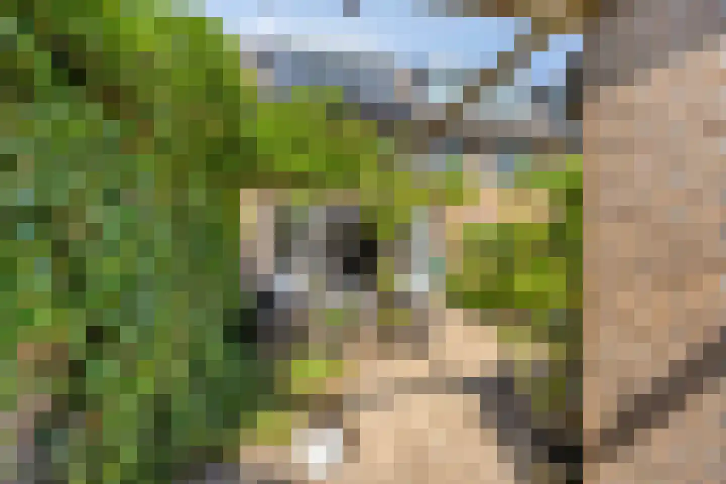 Ruivenstraat 17 Zoetermeer thumbnail 11