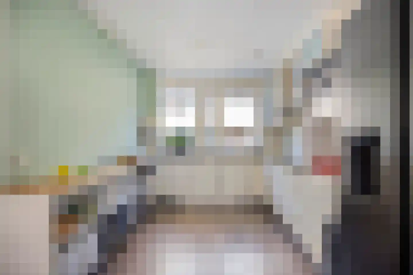 Ruivenstraat 17 Zoetermeer thumbnail 16