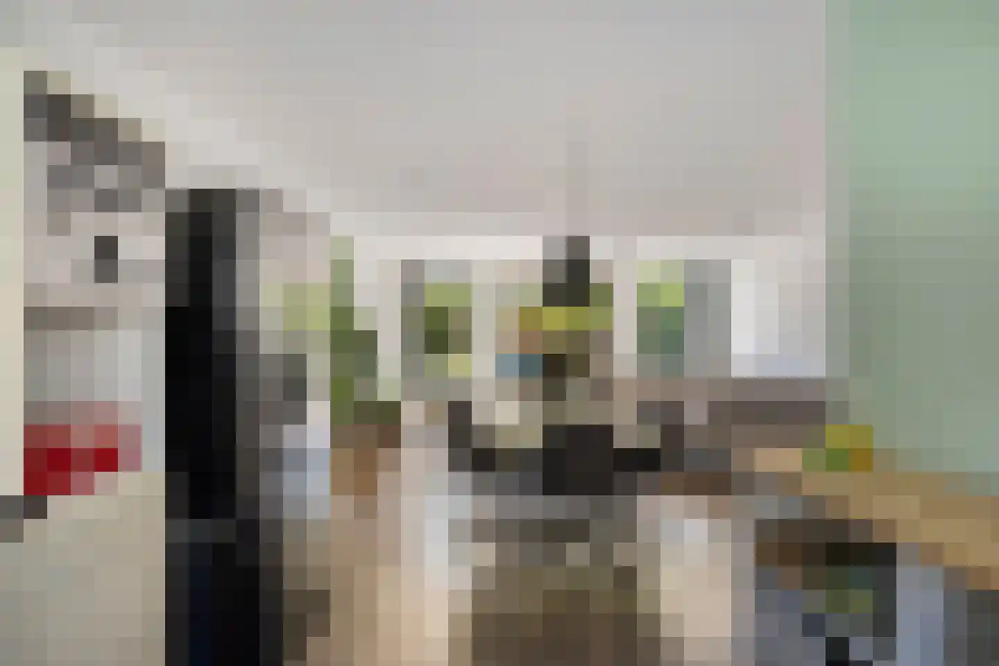Ruivenstraat 17 Zoetermeer thumbnail 18