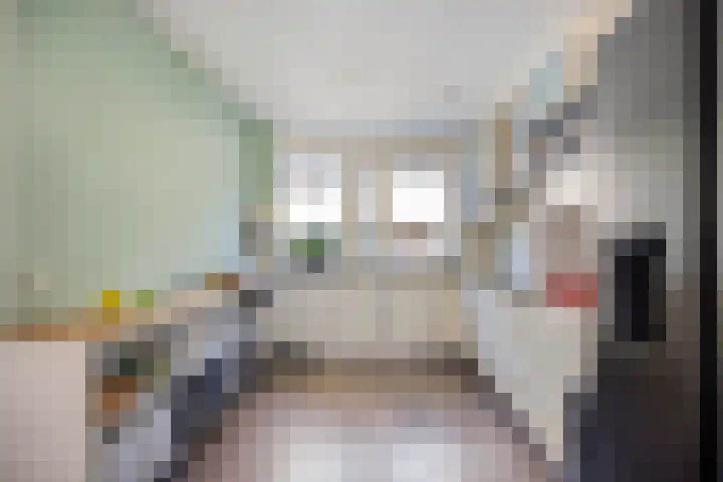 Ruivenstraat 17 Zoetermeer thumbnail 4