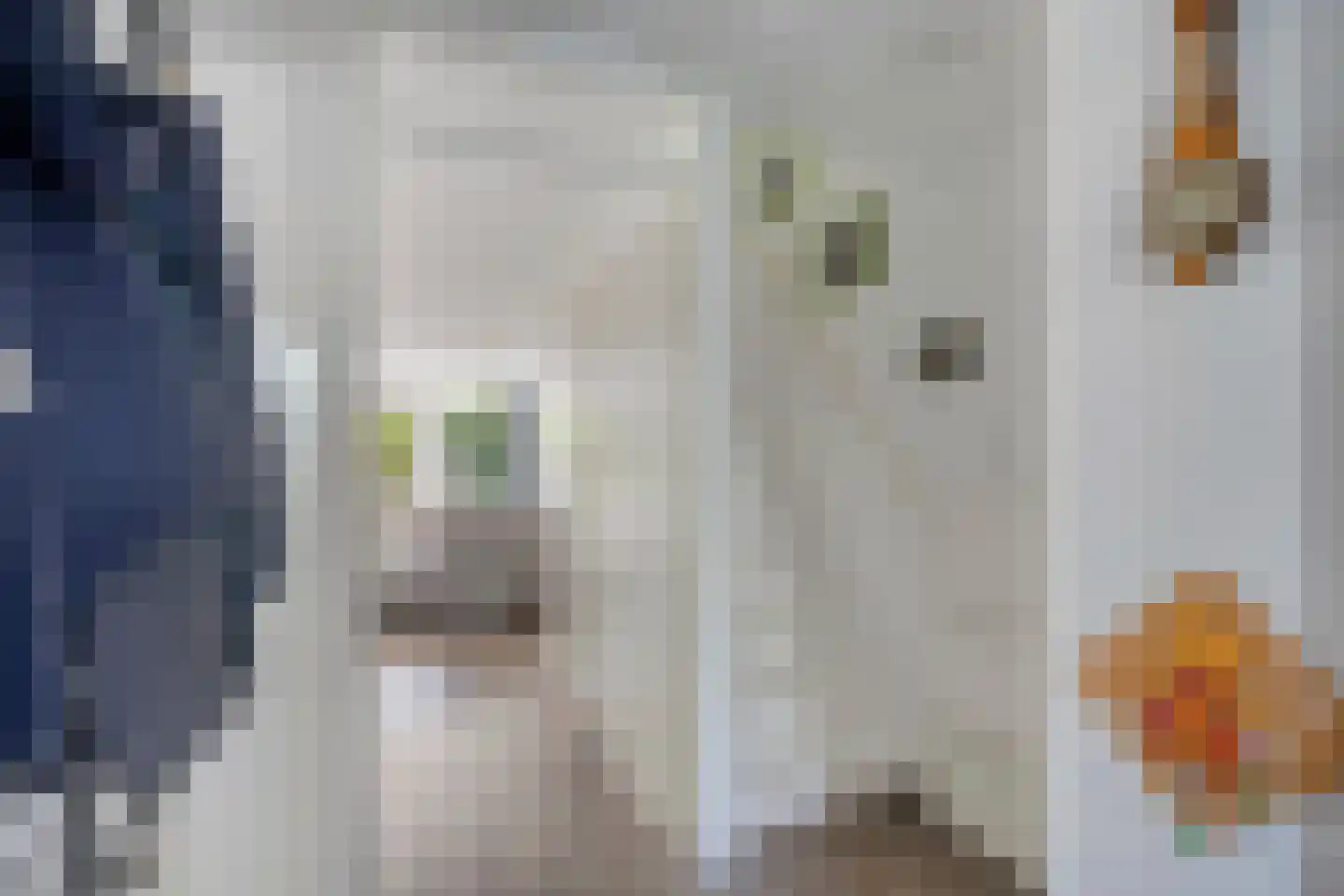 Ruivenstraat 17 Zoetermeer thumbnail 7