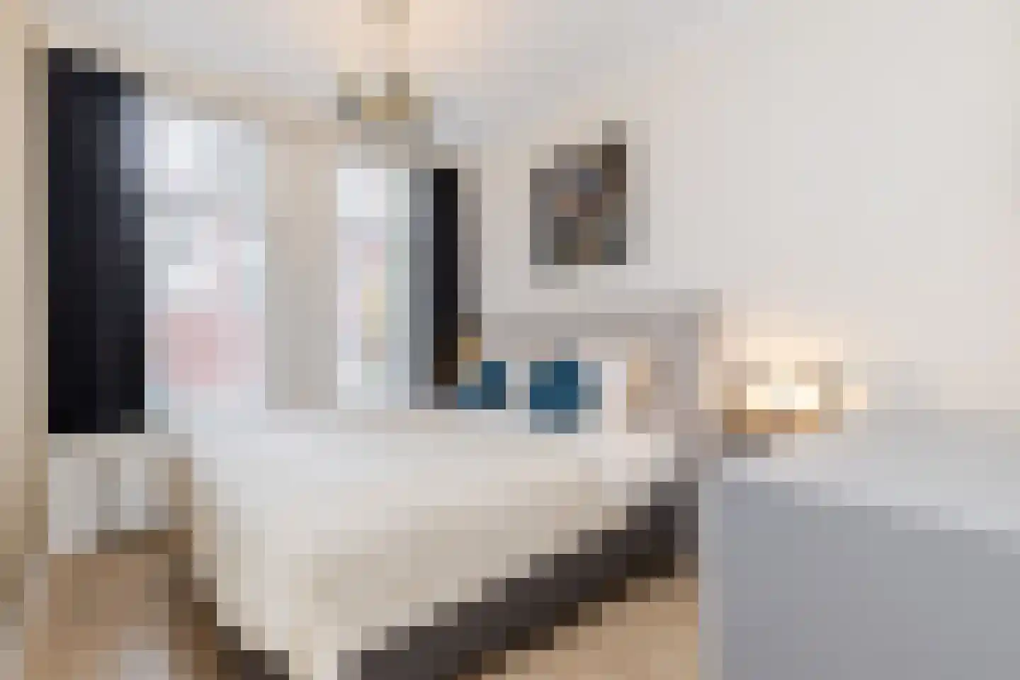 Ruivenstraat 21 Rotterdam thumbnail 17