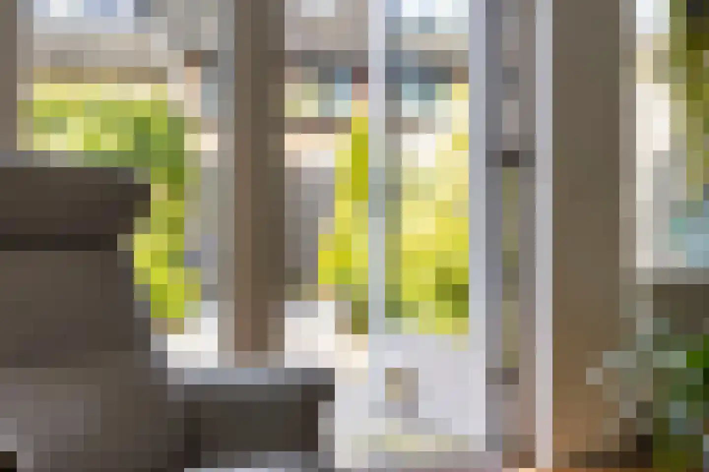 Ruivenstraat 21 Zoetermeer thumbnail 12