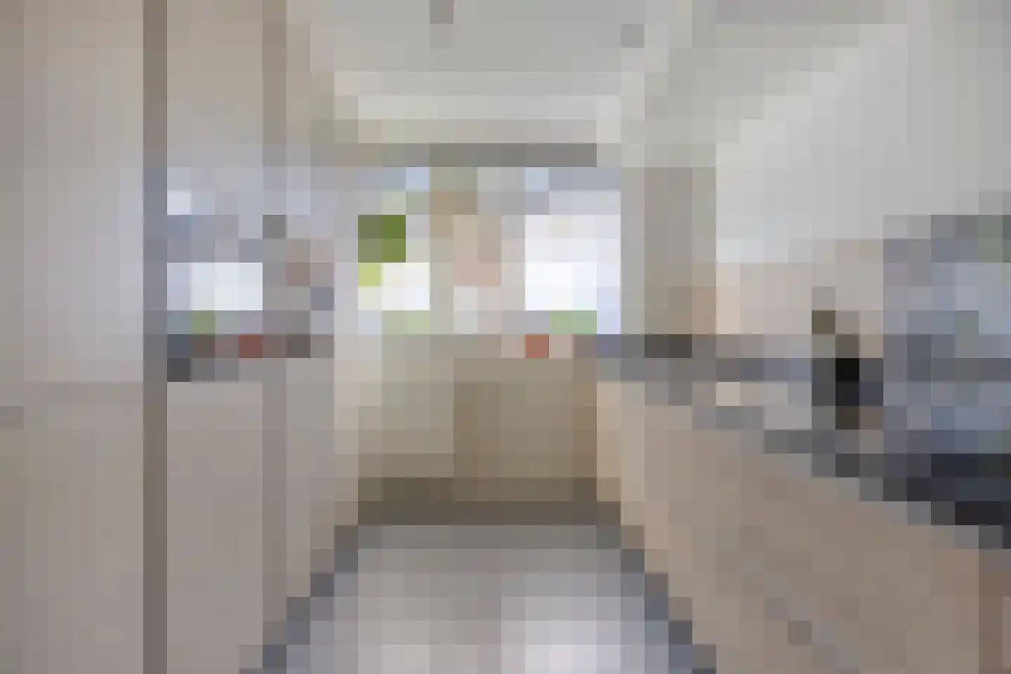 Ruivenstraat 21 Zoetermeer thumbnail 17