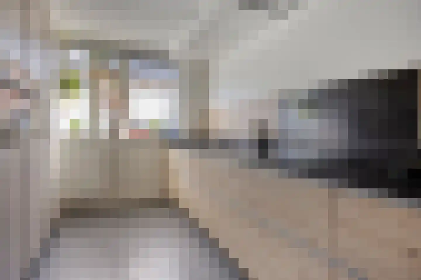 Ruivenstraat 21 Zoetermeer thumbnail 17
