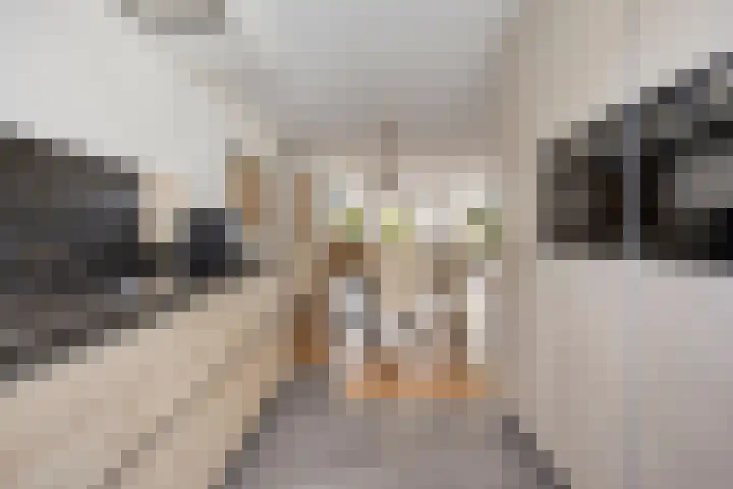Ruivenstraat 21 Zoetermeer thumbnail 19