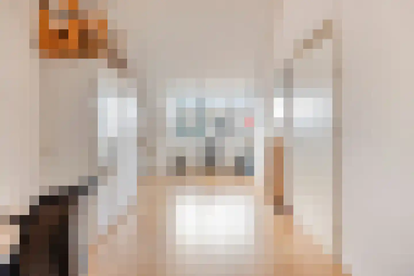 Ruivenstraat 21 Zoetermeer thumbnail 34