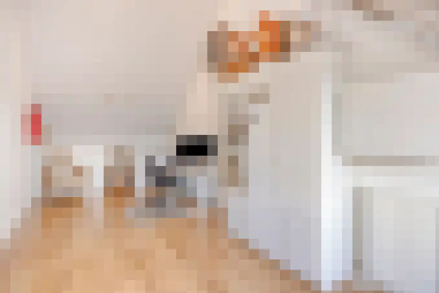 Ruivenstraat 21 Zoetermeer thumbnail 36