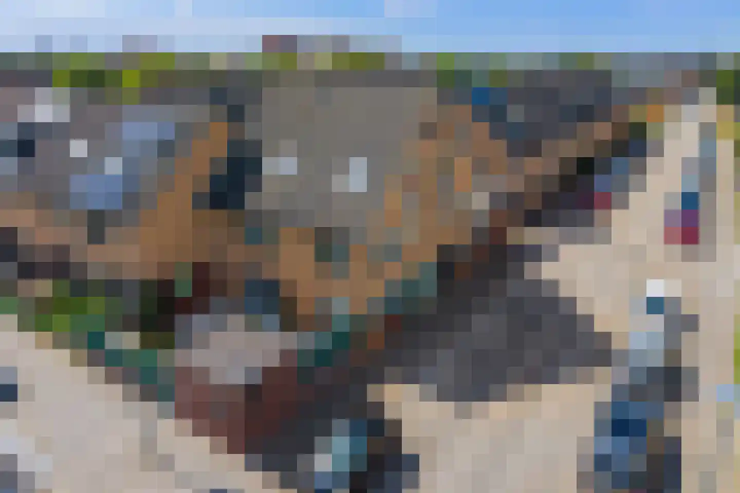 Ruivenstraat 27 Zoetermeer thumbnail 7
