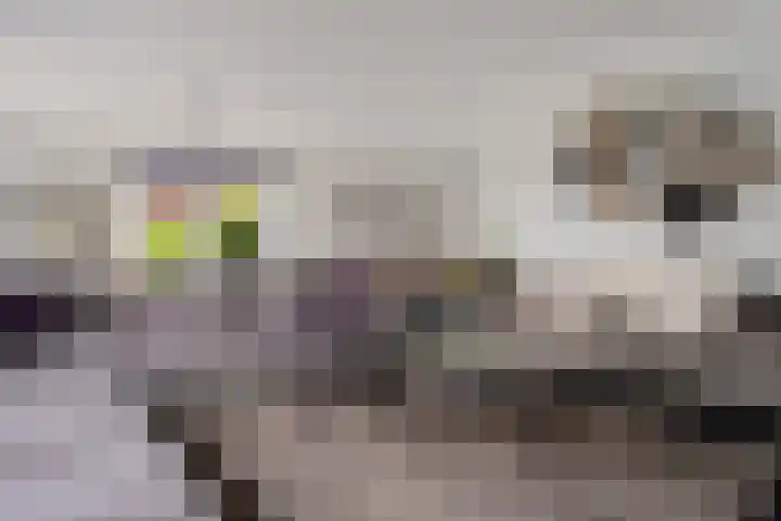 Ruiversdam 18 Hierden thumbnail 10