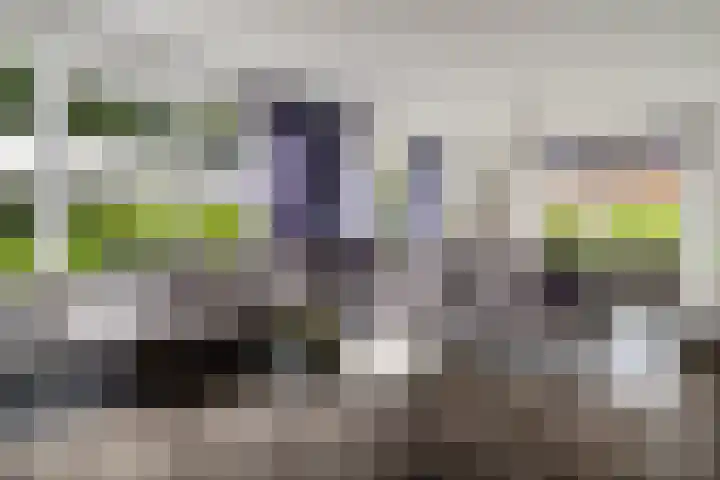 Ruiversdam 18 Hierden thumbnail 12