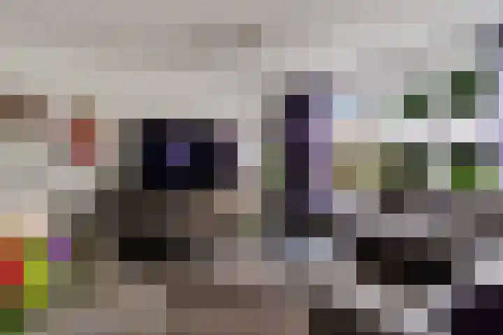 Ruiversdam 18 Hierden thumbnail 13