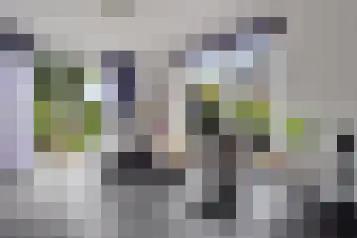 Ruiversdam 18 Hierden thumbnail 14