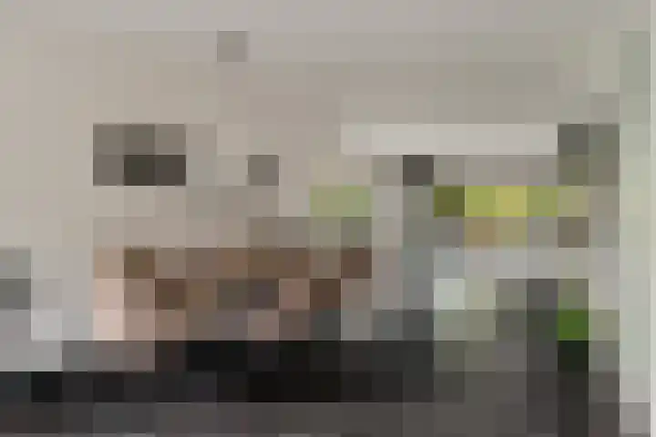 Ruiversdam 18 Hierden thumbnail 16