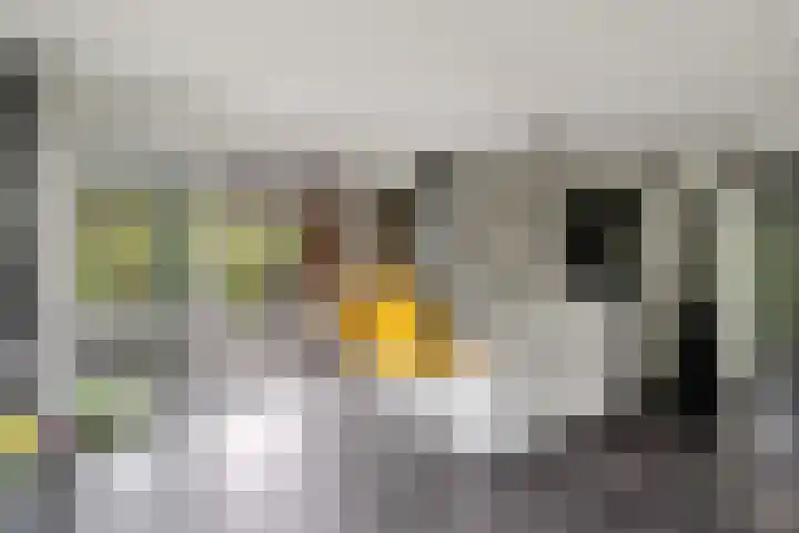 Ruiversdam 18 Hierden thumbnail 17
